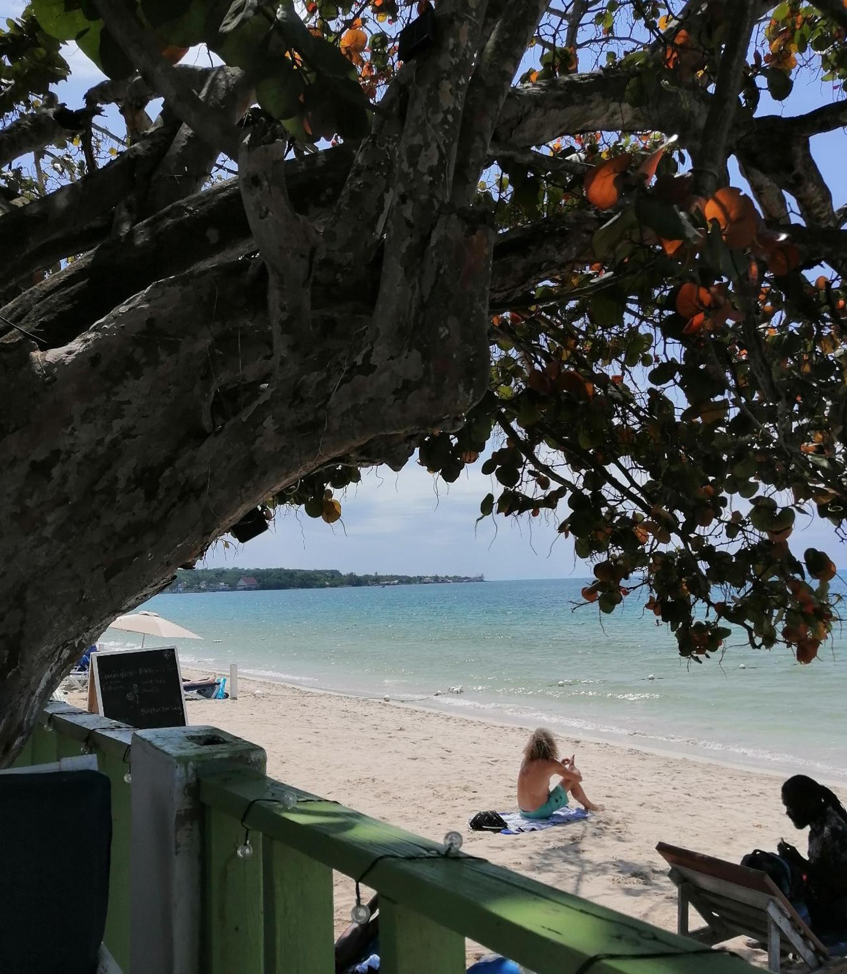 Hotel Yoga Dreams Negril Exteriér fotografie